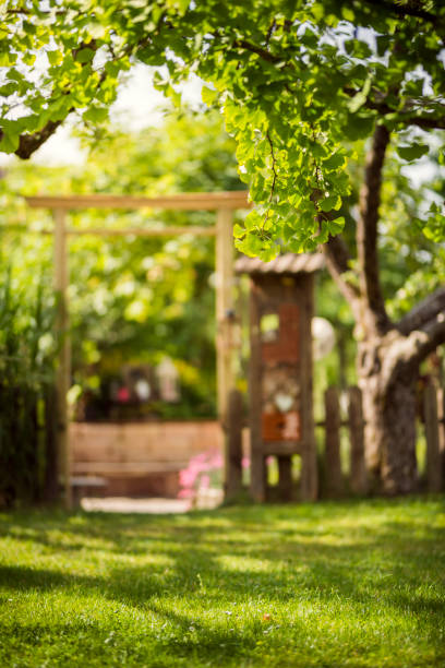 istock torii traditional Japanese gate 966261034