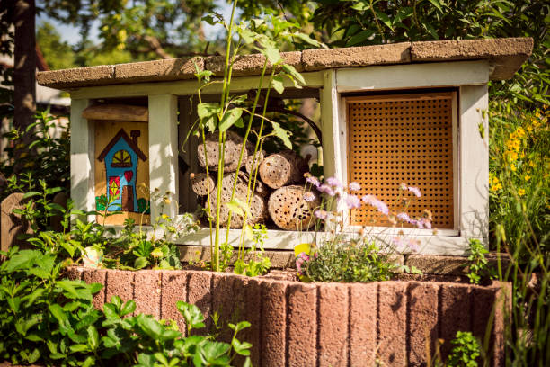 istock Creative Insect house in a Garden 966261478