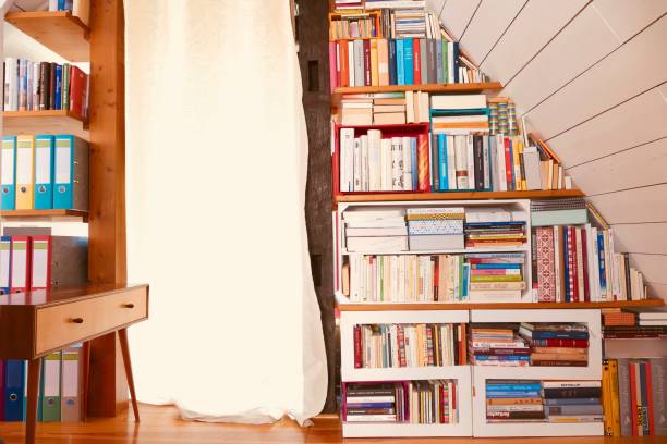 istock Library with many books and folders 966268480