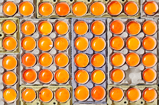 A lot of orange egg yolks and unique one empty space over a egg cartons.
