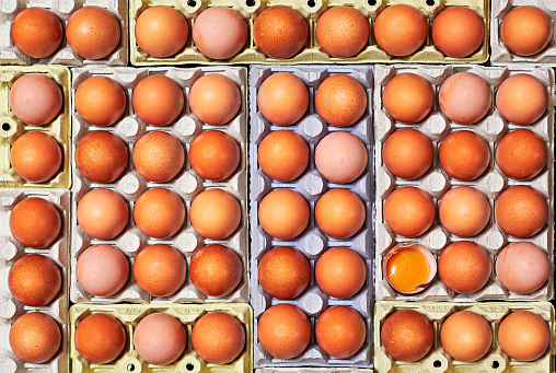 A lot of brown eggs and unique one egg cracked over a egg cartons.