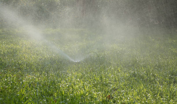istock Garden Irrigation system spray watering lawn 966272658