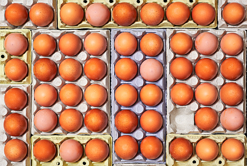 A lot of eggs and unique one empty space over a egg cartons.