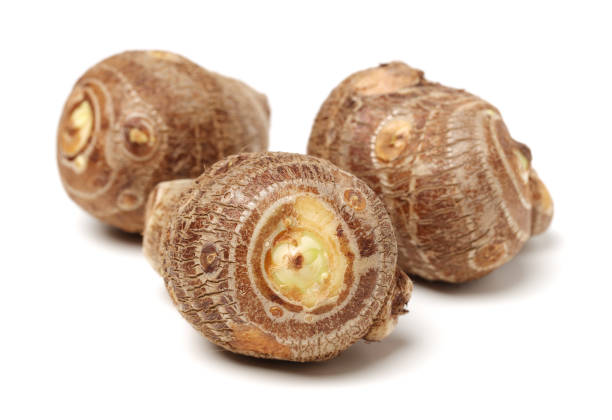 istock Yam or taro isolated on white background 966277210