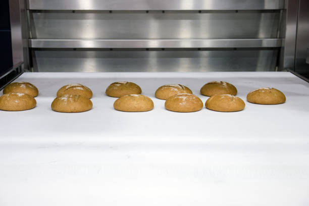freshly baked round bread on the conveyor belt in the bakery.
