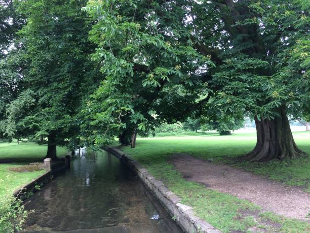River Wandle in Beddington Park