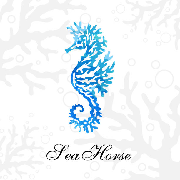 Seahorse silhouette on the light underwater background Seahorse silhouette on the light underwater background seahorse stock illustrations