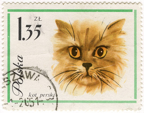 istock Persian (Longhair) cat on vintage post stamp 96629046
