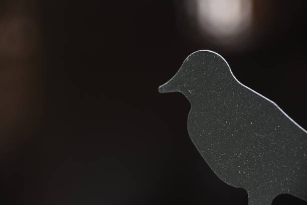 A metal bird on a black background