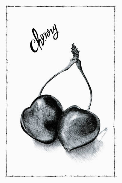 ballpoint pen illustration of cherries  with a frame vector art illustration