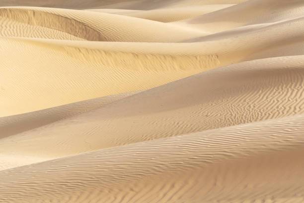 istock Beautiful sand dune in Thar desert, Jaisalmer, Rajasthan, India. 966298646