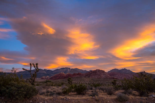 istock Red Rock Canyon, USA 966298762