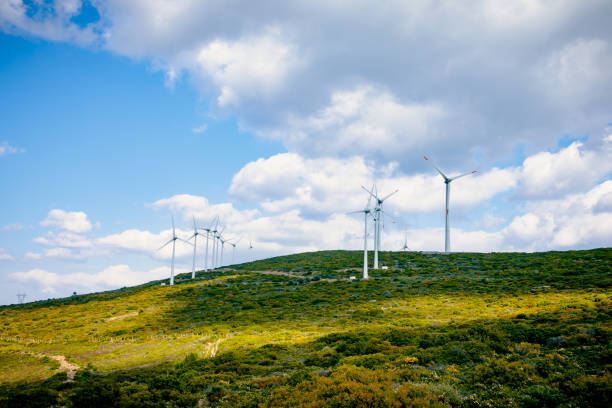 Aerial view large group of eco system wind turbines power generation station on green field in rural landscape in countryside. xxxl size