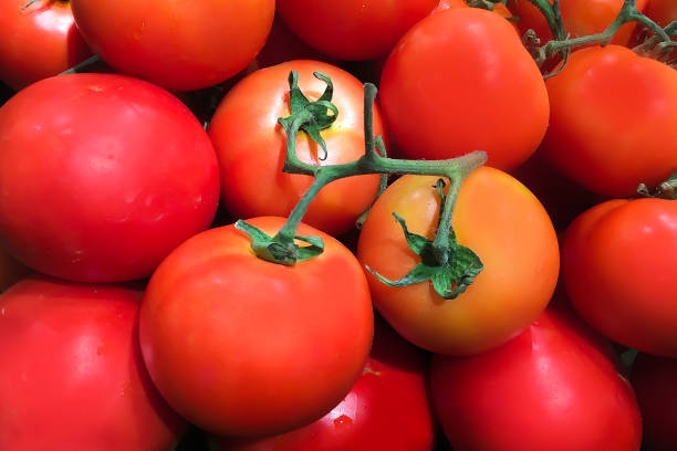 Closeup on freshness organic red tomatoes in supermarket store.
