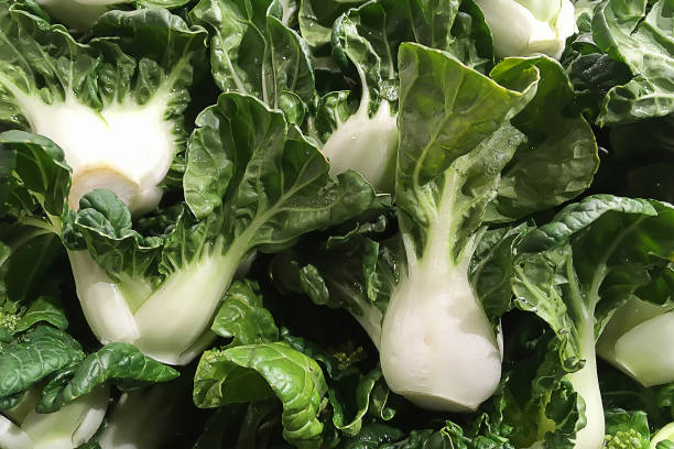 Closeup on freshness organic bok choy vegetable in supermarket store,