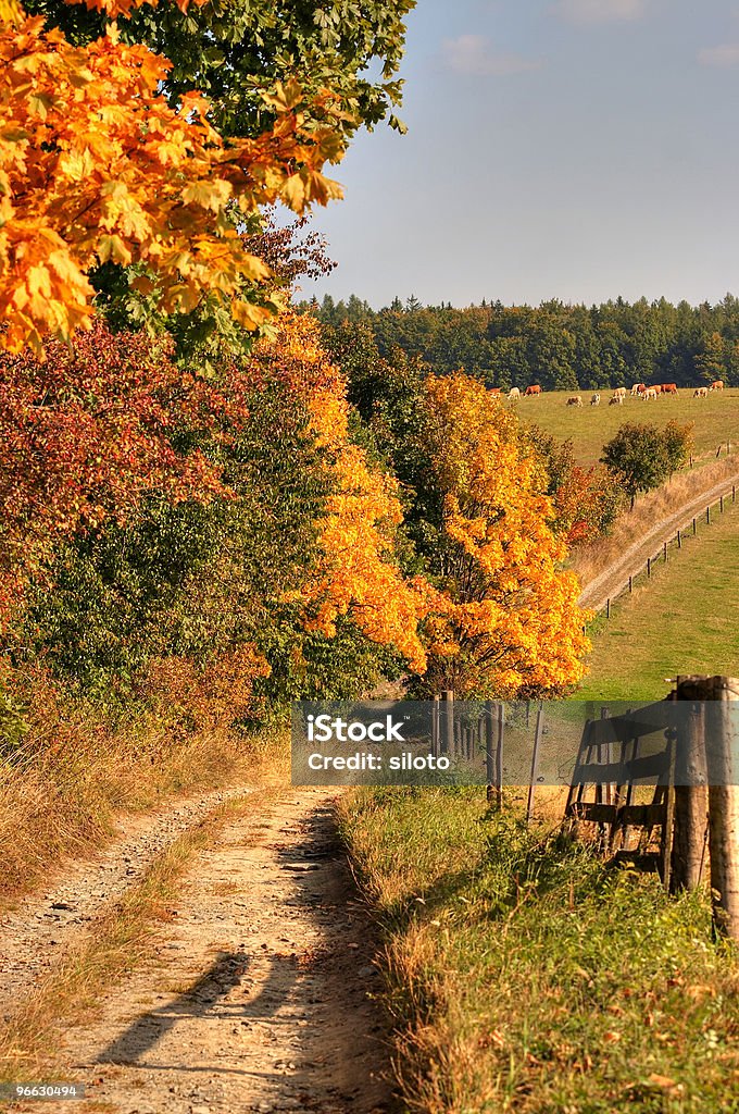 country road and autumn landscape  Autumn Stock Photo