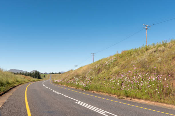 istock Road landscape with cosmos flowers between Underberg and Kokstad 966307216