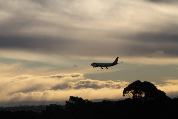 istock Silhouette of a Landing plane at sunset 966315280