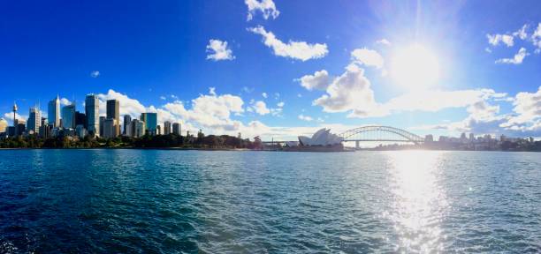 istock Panoramic picture of the Sydney bay 966315426