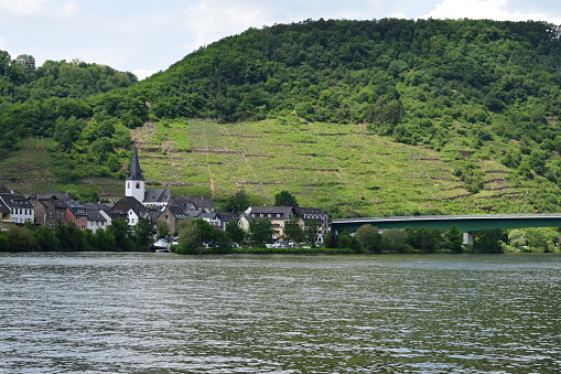 Löf in Mosel valley