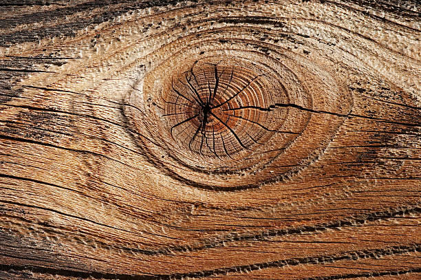 istock nob - eye of wood 96632059