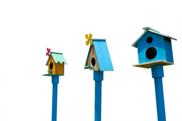 Bird house made of colorful wood.