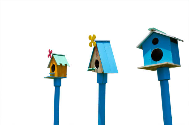 dom ptaków - birdhouse birds nest box isolated zdjęcia i obrazy z banku zdjęć