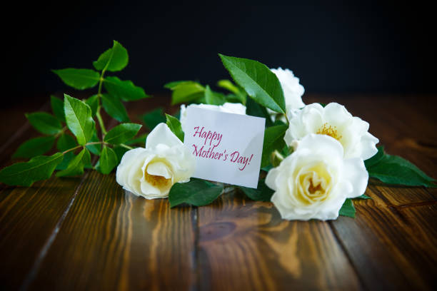 istock beautiful white blooming roses 966342636