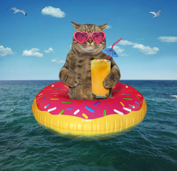 The cat in a pink sunglasses with a glass of fruit juice is on the on inflatable circle in the sea.