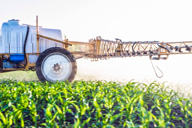 istock fog from micro fertilizers sprayed with a trailed sprayer on the field of maize 966360590