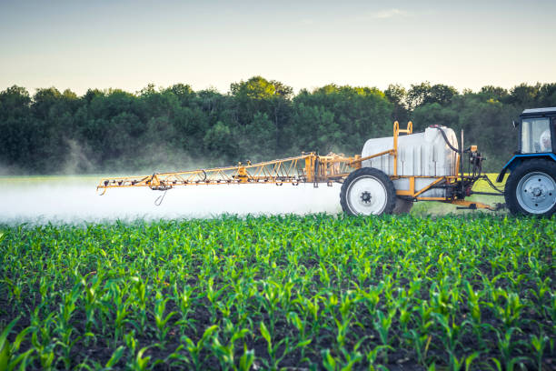 farmer on a tractor with a trailed sprayer makes fertilizer for young corn in the form of microdroplets.