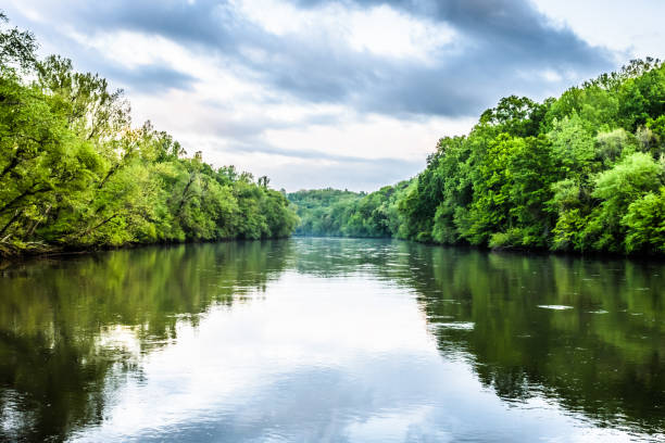 riflessi del fiume chattahoochee - peaceful river foto e immagini stock