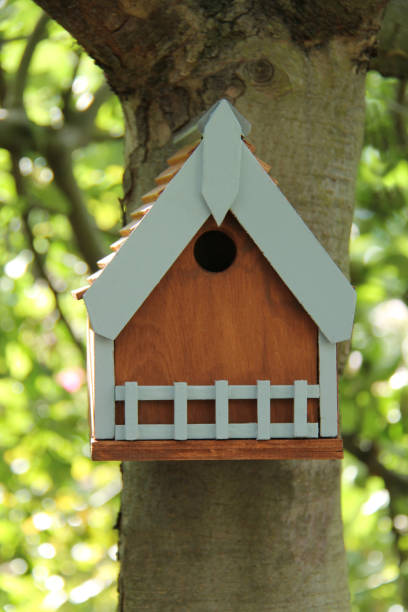 istock Wooden Bird Nest Box. 966368718