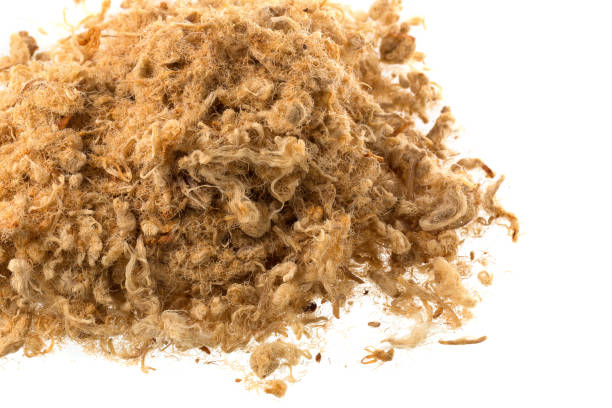 istock Dried shredded pork isolated on a white background 966369458