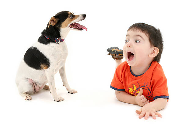 menino e seu cão - toddler child animal tongue human tongue imagens e fotografias de stock