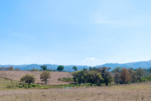istock Mountain Landscape and volcano in Jalapa Guatemala. 966374922