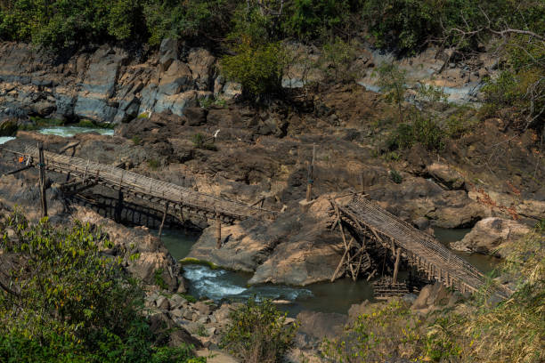 istock High Angle View Of River Along Trees 966374954