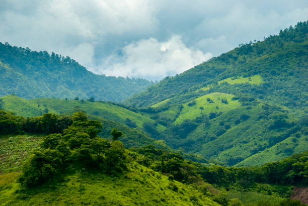 istock Summer landscape with mountains, cloudy sky, green grass and trees in Guatemala. 966375340