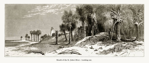 ilustraciones, imágenes clip art, dibujos animados e iconos de stock de boca del st. río de johns mirando, florida, estados unidos, american victoriana grabado, 1872 - old fashioned scenics engraving river