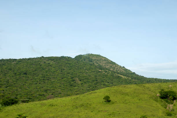 istock Panoramic views of jungle mountains in Guatemala 966375950