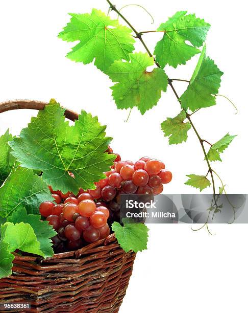 Wino Winogron Klastrów I Grapevine - zdjęcia stockowe i więcej obrazów Roślina pnąca - Roślina pnąca, Alkohol - napój, Bez ludzi