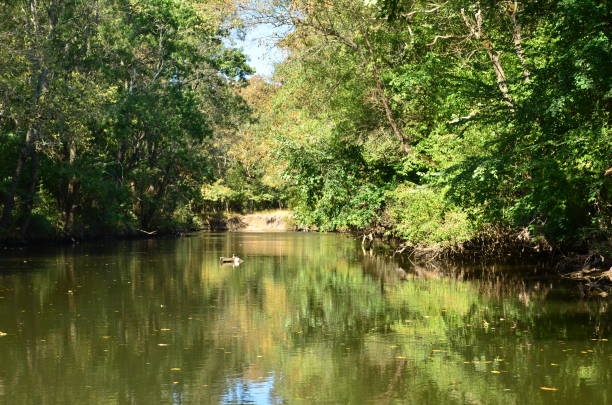 istock Water course of Ropotamo river 966386548