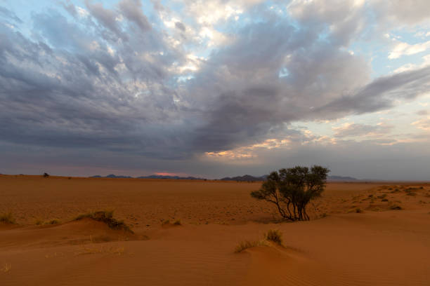 istock Clouds at sunset over the red desert sand 966388784