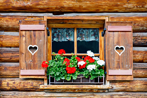 Typical bavarian or austrian wooden window with red geranium flowers on house in Austria or Germany.
