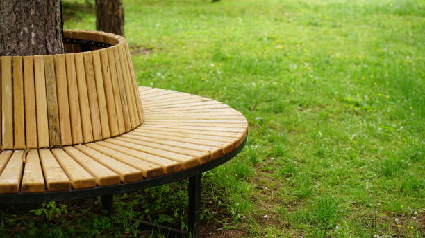 istock Seat made of a tree in the park 966395190