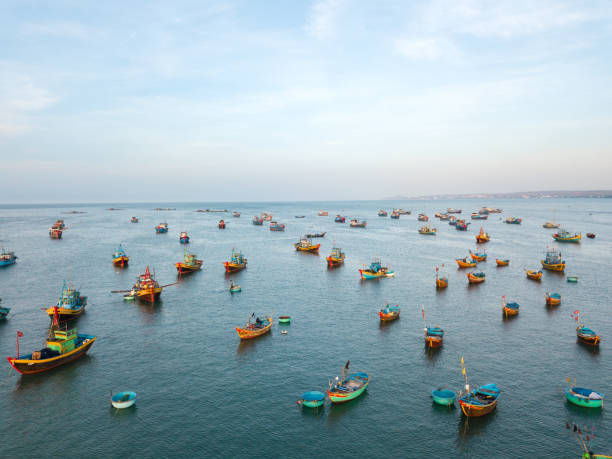 istock Top view, aerial view fishing harbour from drone 966395670