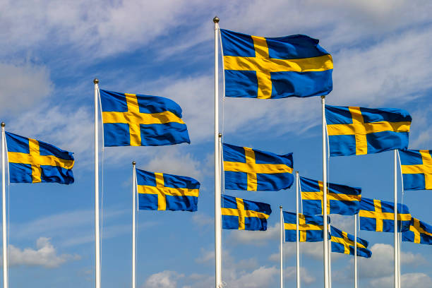 istock Swedish flags swaying in the wind 966396082