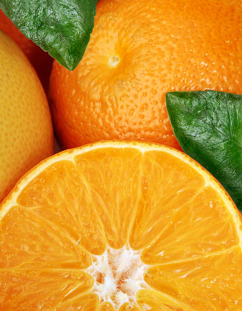 istock Detail of oranges 96640272