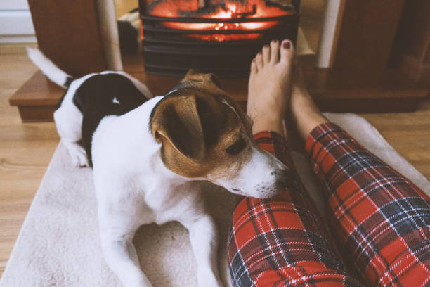 istock Female feet ang cute dog in front fireplace 966403734