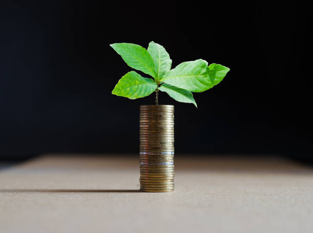 pila de monedas con verde deja crecimiento para arriba en moneda superior sobre fondo de tablero de madera blanco con trazado de recorte. concepto financiero y ahorro. - u s bank tower fotografías e imágenes de stock